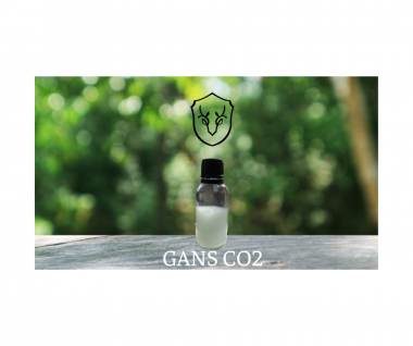 GANS CO₂